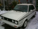 29.1.2010 028